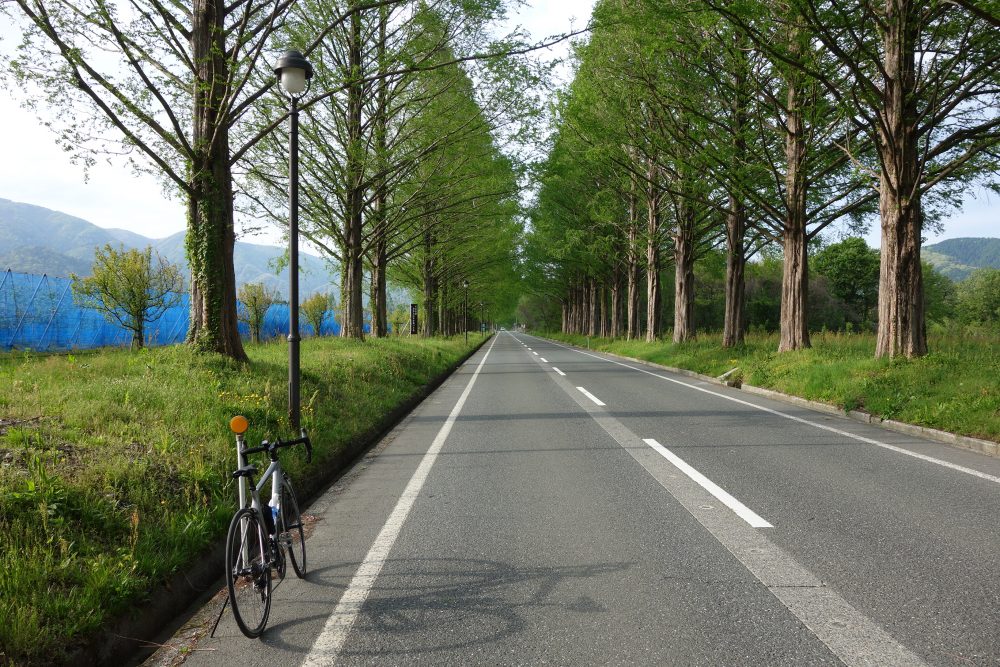【ビワイチ】走ってきた!自転車で琵琶湖一周200kmサイクリング!