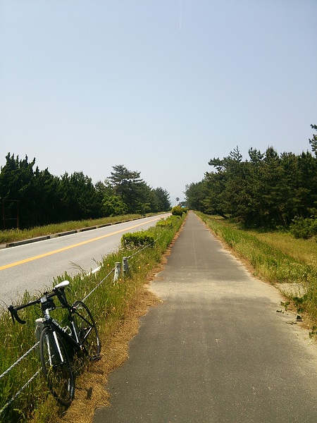 琵琶湖自転車道