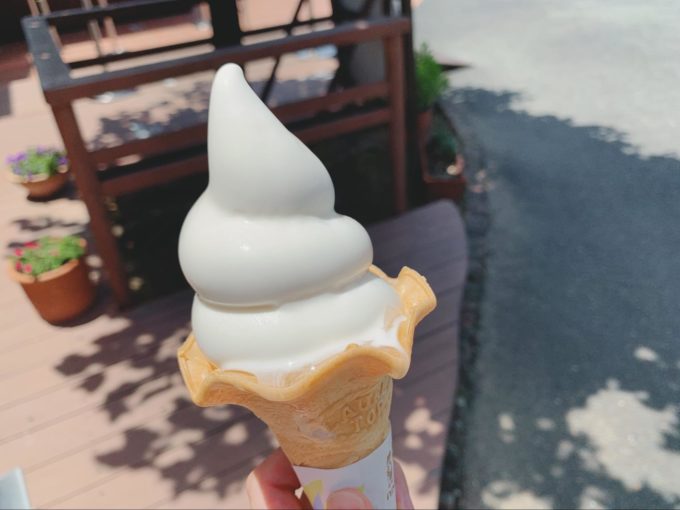 浜名湖三ヶ日　長坂養蜂場のはちみつソフトクリーム（溶けやすい）